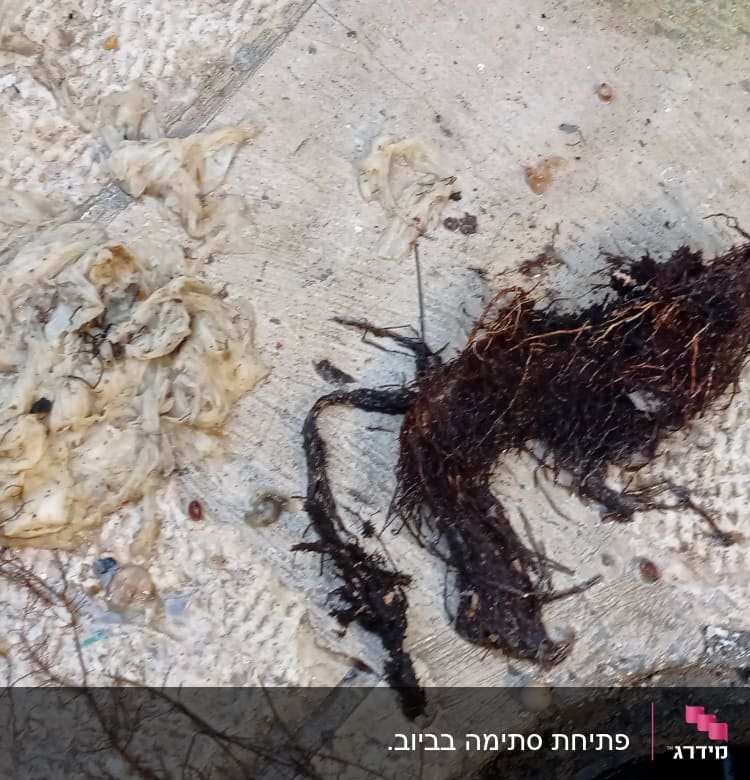 שורשים ופסולת סתימה בצינור ביוב